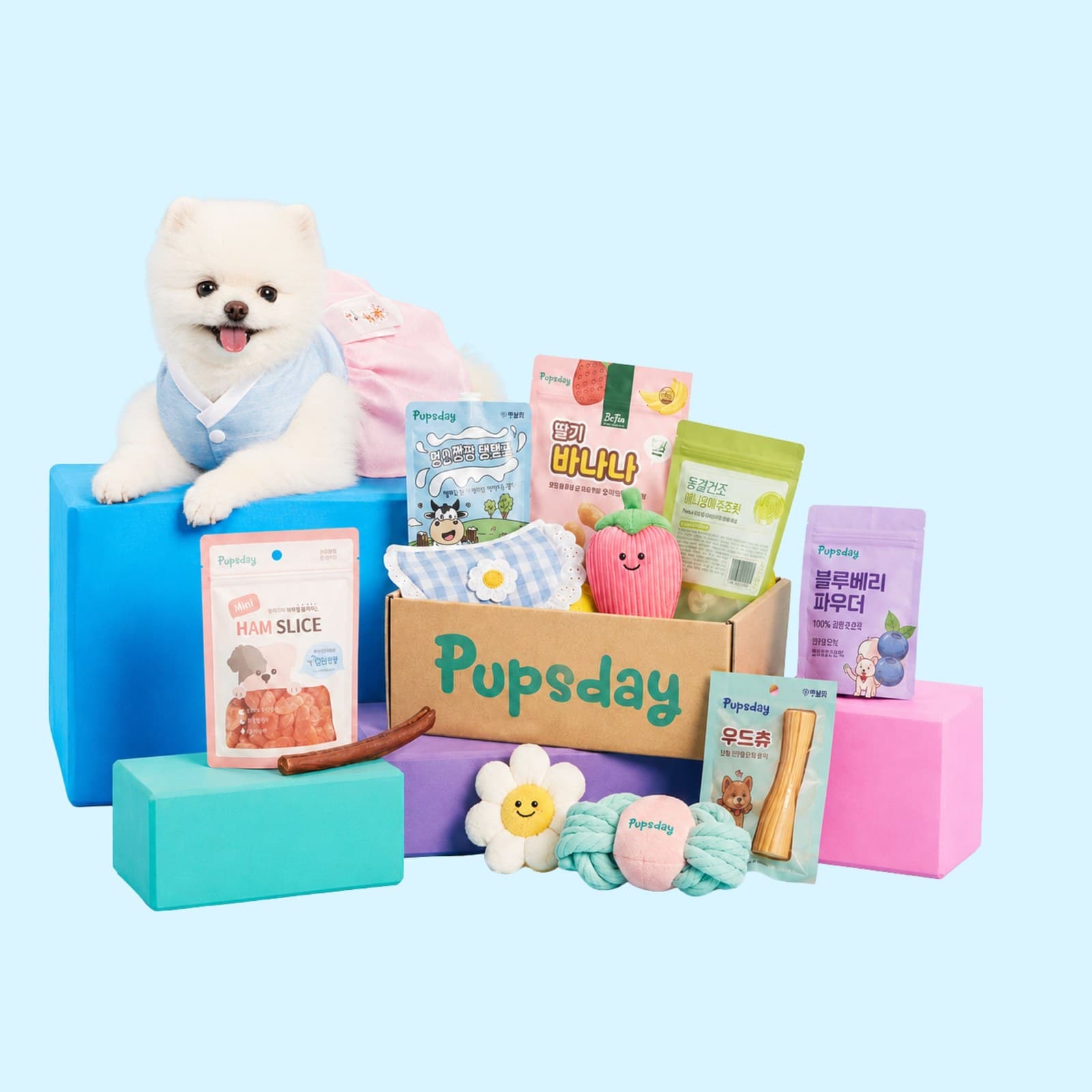 Korean Treat Box for Dogs
