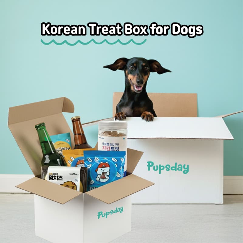 Korean Treat Box