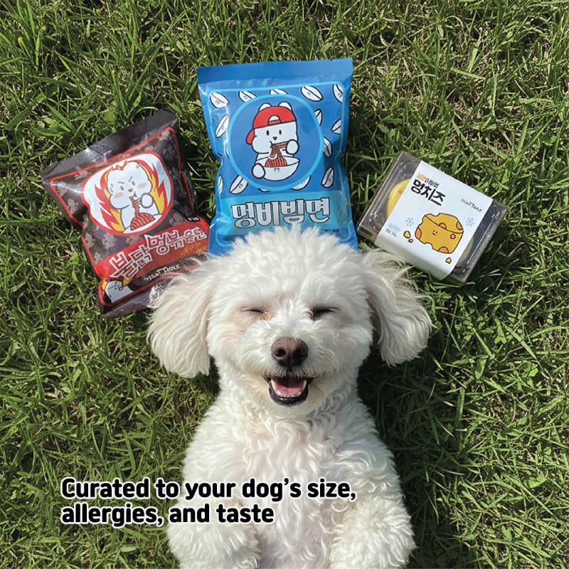 Korean Treat Box for Dogs