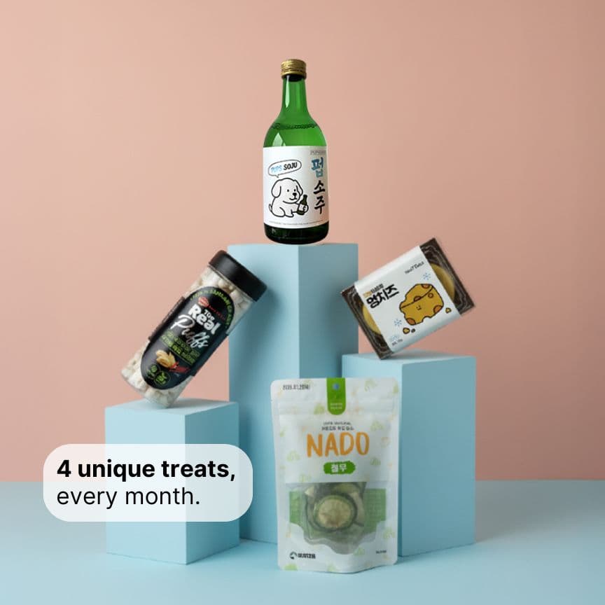 Korean Treat Box for Dogs