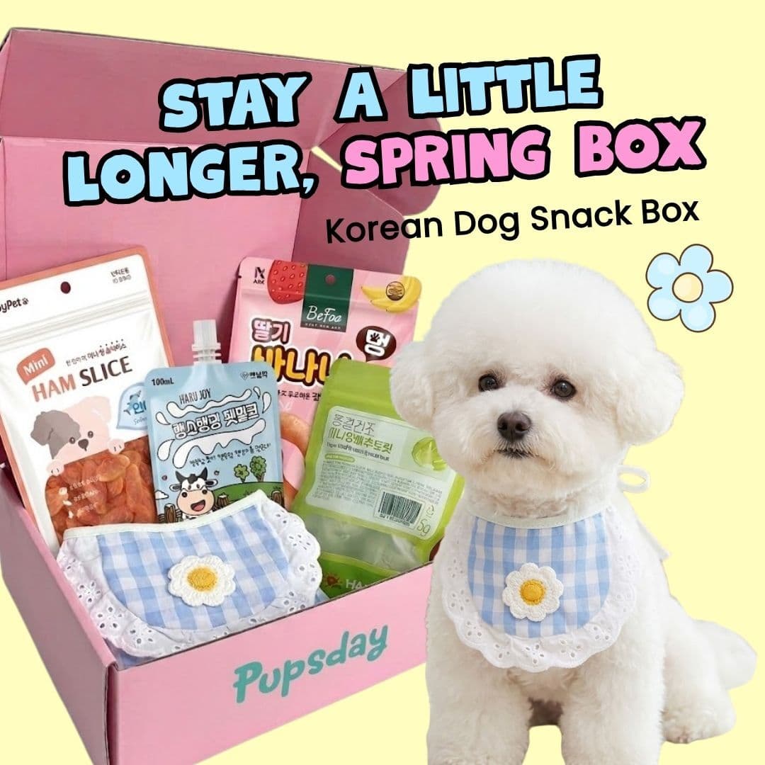 The Spring Box — "Stay a little longer"