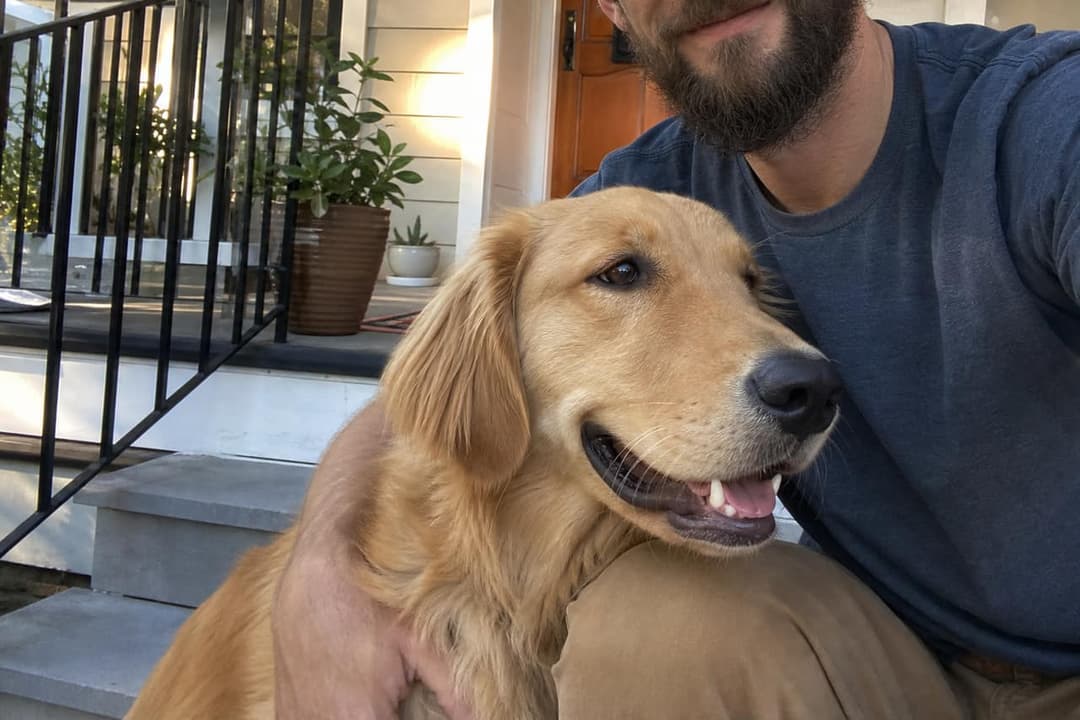Maple with their human