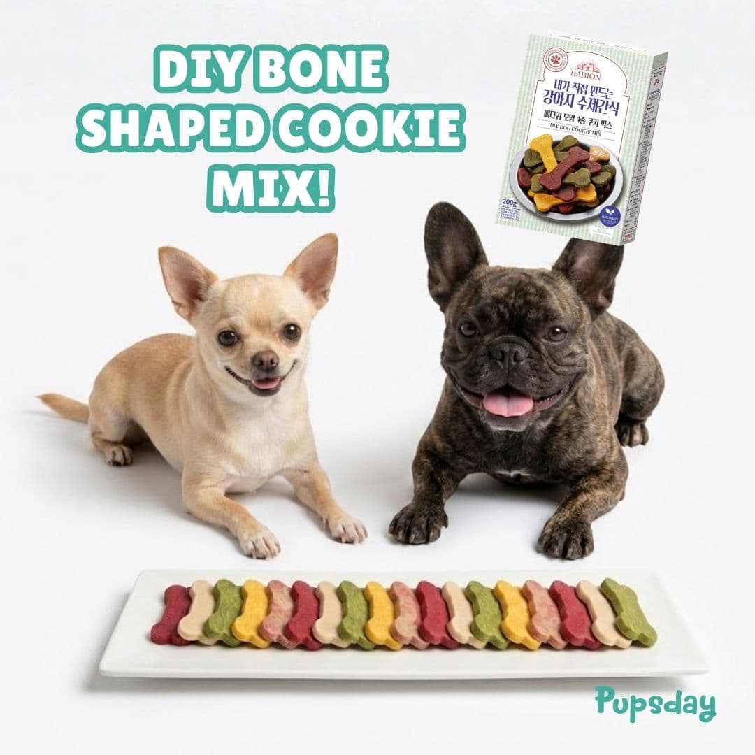 A chihuahua and a french bulldog sitting behind a long row of colorful bone-shaped Pupsday dog cookies