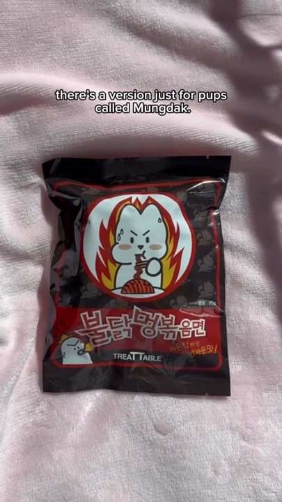 A Pupsday Korean-style ramen treat package in a snack-time clip